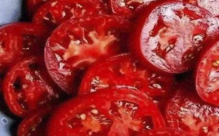 Experten klären auf: Was hinter den Gerüchten über Tomaten steckt