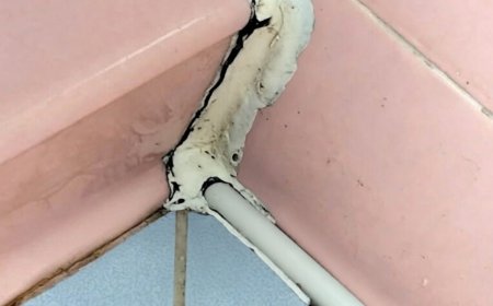 Diese ungewöhnliche Entdeckung im Badezimmer ließ uns genauer hinschauen