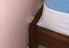Als ich nach Hause kam, fiel mir etwas Ungewöhnliches neben meinem Bett auf