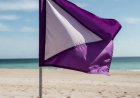 Die lila Flagge am Strand: Was sie wirklich bedeutet (und warum Sie darauf achten sollten)