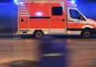 vom Verzehr wird abgeraten
