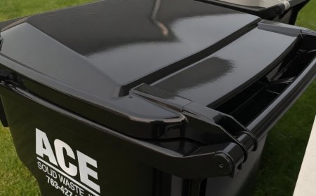 So bleibt Ihr Mülleimer sauber und hygienisch