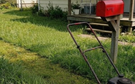 Ich mähte den Rasen für die ältere Nachbarin – Monate später veränderte ein Brief alles