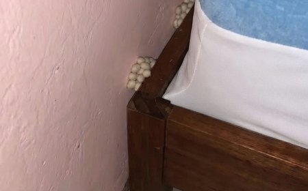 Als ich nach Hause kam, fiel mir etwas Ungewöhnliches neben meinem Bett auf