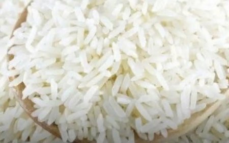 Die Reisdiät: Ein einfacher Weg zu einer ausgewogenen Ernährung