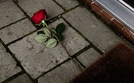 Nach 20 Jahren Ehe brachte eine einzelne Rose die Wahrheit ans Licht