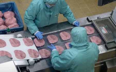Schinken im Vergleich: Welche Unterschiede Verbrauc