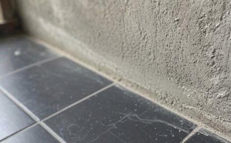 Wir kamen aus dem Urlaub zurück und entdeckten eine unerwartete Überraschung in unserem Badezimmer.