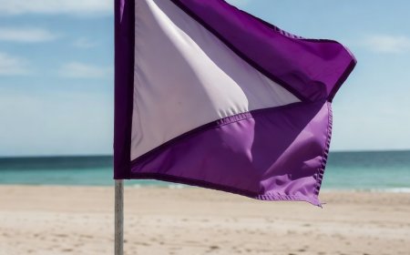 Die lila Flagge am Strand: Was sie wirklich bedeutet (und warum Sie darauf achten sollten)