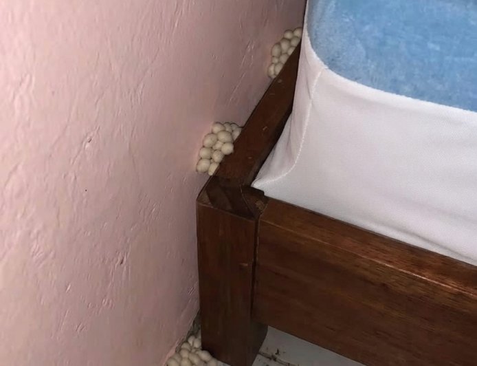 Als ich nach Hause kam, fiel mir etwas Ungewöhnliches neben meinem Bett auf