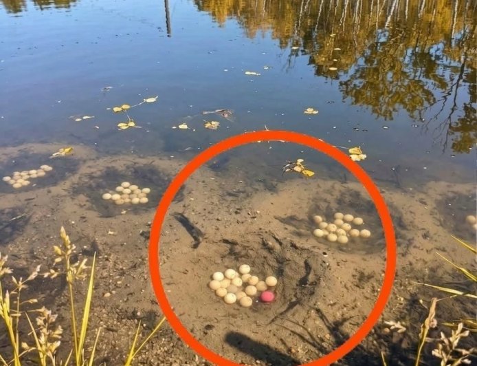 In unserem Dorf gibt es einen künstlichen See.