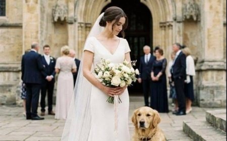 Rex tauchte bei der Hochzeit seiner Geliebten auf.