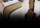 Welchen Zweck hat der Stoffstreifen über den Hotelbetten