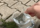 Gießen Sie diese Mischung über Ihre Pflastersteine.