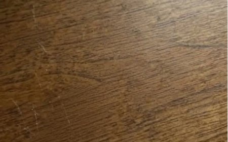 Das Rätsel der „schwarzen Flecken“: Was sind diese winzigen, schwammartigen Objekte in meinem Haus?