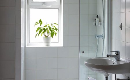 Die in vielen Haushalten vorkommende Badezimmerfliege und was auf ihre Anwesenheit hindeuten könnte