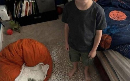 Der Sitzsack meines Sohnes ging beim Spielen auf – was darin verborgen war, veränderte plötzlich alles