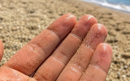 Ungewöhnlicher Fund im Meer: Warum Badegäste an einigen Stränden besonders aufmerksam sein sollten