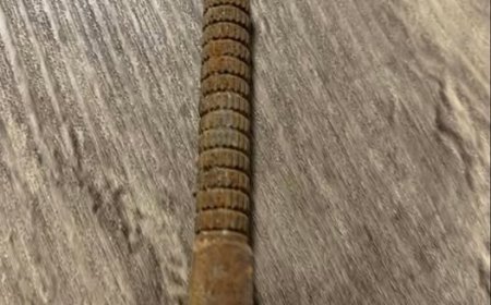 „Habe das gestern an einer Landstraße gefunden.“,