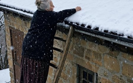 Den ganzen Sommer arbeitete sie an ihrem ungewöhnlichen Dach – im Winter verstanden die Nachbarn warum