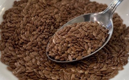 Warum dieser kleine Samen für eine ausgewogene Ernährung interessant ist