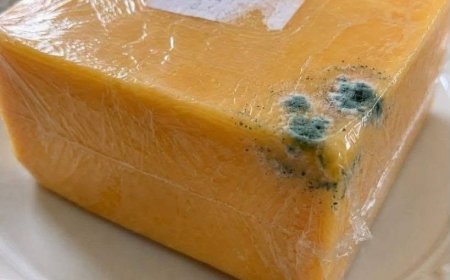 Grüner Fleck auf Cheddar-Käse