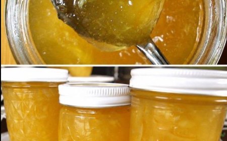 Hausgemachte Zitronenmarmelade: Das schnellste und einfachste Rezept