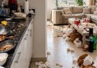 Er kam um 22:45 Uhr an und sah, wie seine im 8. Monate schwangere Frau das Geschirr spülte,
