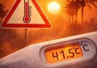 Hitzewelle in Deutschland: Die Hitze ist da – und die Trockenheit verschärft die Lage