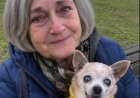 Ein Cafébesuch mit meinem alten Chihuahua nahm eine unerwartete Wendung – als ein Fremder eine entscheidende Frage stellte.