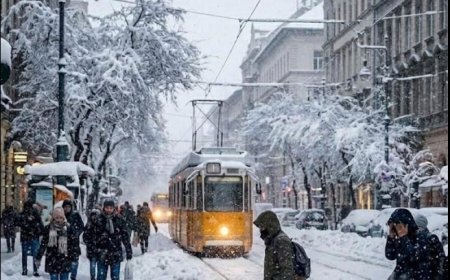 Der erste große Schneefall kommt! Es werden fast 50 Zentimeter Neuschnee erwartet, wir zeigen Ihnen, wann er hier eintrifft