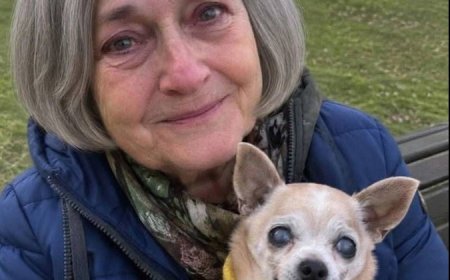 Ein Cafébesuch mit meinem alten Chihuahua nahm eine unerwartete Wendung – als ein Fremder eine entscheidende Frage stellte.