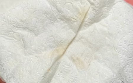 Nach einem Spaziergang entdeckten wir etwas Ungewöhnliches im Fell unseres Hundes – weiß jemand, was das sein könnte?
