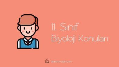 11. Sınıf Biyoloji Konuları