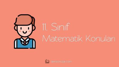 11. Sınıf Matematik Konuları