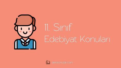 11. Sınıf Türk Dili ve Edebiyatı Konuları